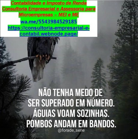 servicos-contabilidade-consultoria-assessoria-imposto-de-renda-big-0