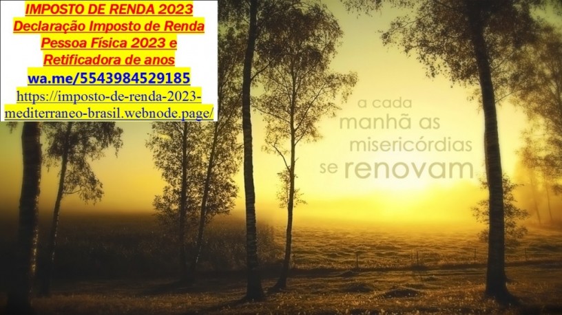 servicos-gerais-de-consultoria-contabilidade-e-imposto-de-renda-big-0