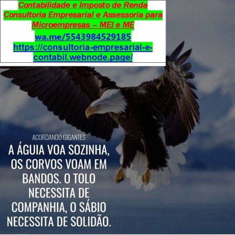 goiania-servicos-contabeis-em-geral-abertura-de-meime-big-0