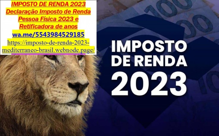 como-fazer-a-declaracao-anual-do-mei-2023-passo-a-passo-big-0