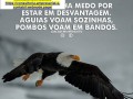 excluir-frases-ou-palavras-pesquisadas-no-notebookcomputador-small-0