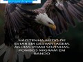 servicos-tecnicos-de-contabilidade-a-domicilio-consultoria-small-1