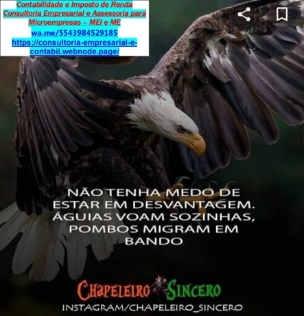 consultoria-para-microempresas-mei-e-me-contabilidade-e-imposto-big-2