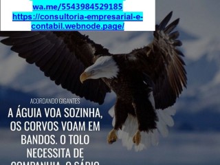 Av. Europa/londrina Consultoria Estratégica Contábil Microempresas