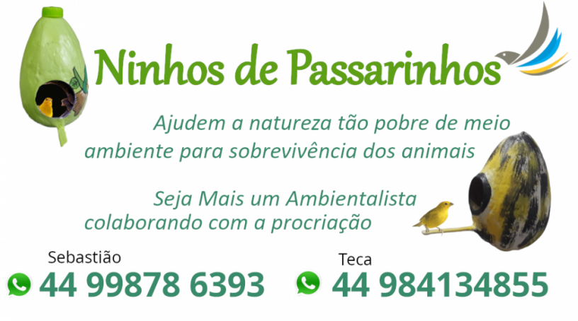 ninhos-de-passarinhos-big-4