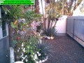 jardinagem-e-paisagismo-com-pedras-decorativas-servicos-small-2