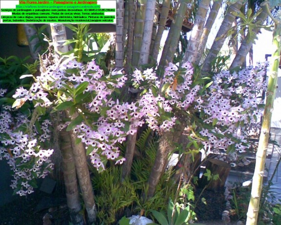 jardinagem-e-paisagismo-com-pedras-decorativas-servicos-big-1