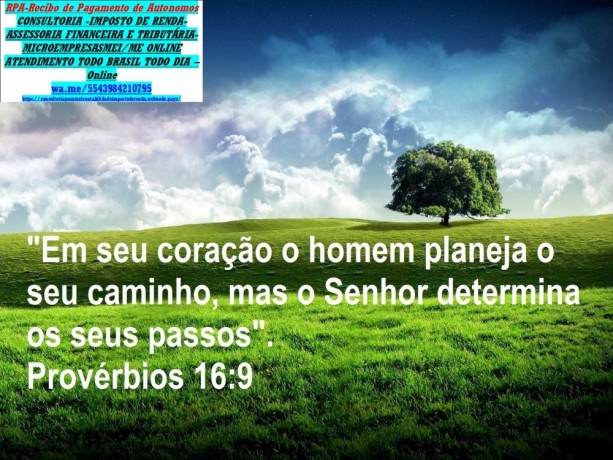 cambe-contador-consultoria-empresarial-financeiro-big-0