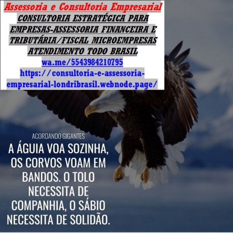 business-consultoria-empresarial-rio-grande-do-sul-big-0