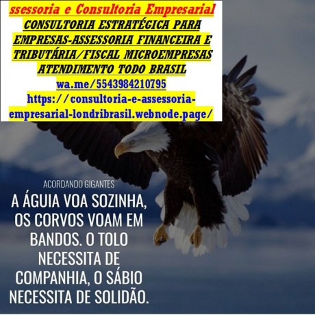 londri-brasil-consultoria-assessoria-irpf-big-0