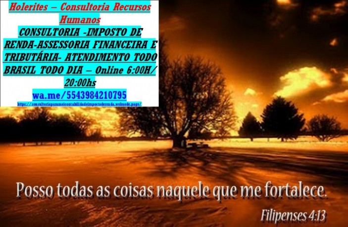 consultoria-empresarialfinanceiraimposto-de-renda-online-big-0