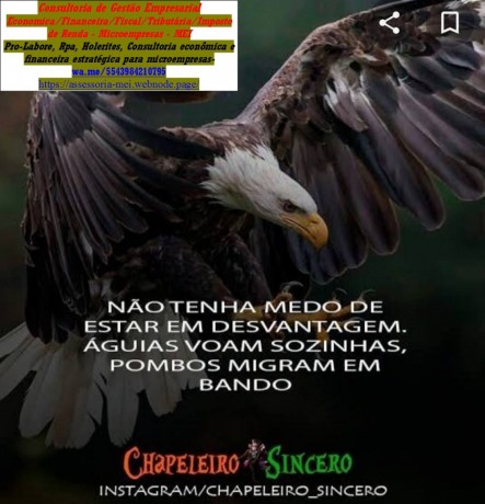 2024-servicos-watsapp-online-direto-43-984210795-consultoria-big-0