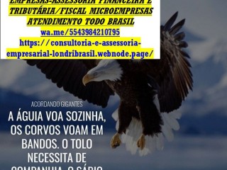 Brasil–Consultoria,Assessoria Auditoria,Empresarial e Contábil