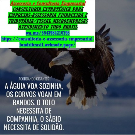 consultoria-empresarial-consultoria-gestao-emprearial-big-0