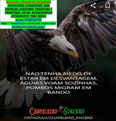 declaracao-anual-mei-como-entregarmulta-big-0