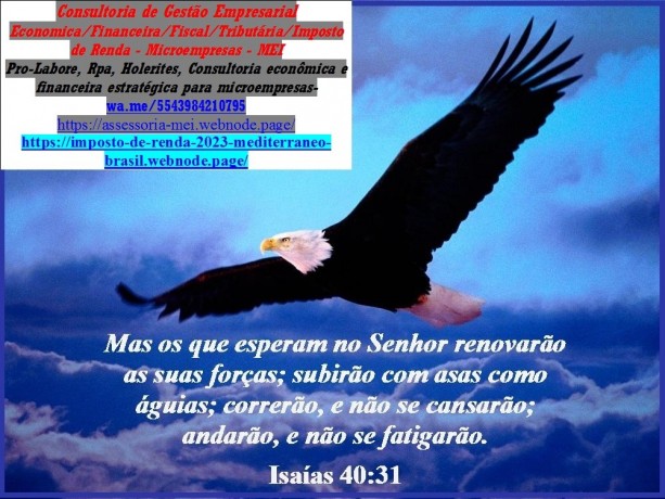 consultoria-online-so-r-5500mes-contabilidadea-imposto-renda-2024-big-0