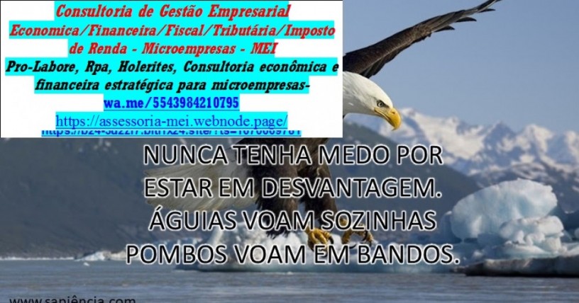 auditoria-preventiva-e-investigativa-empresarial-e-pessoal-big-0