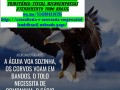 imposto-de-renda-2024-quem-esta-obrigado-consultoria-small-0