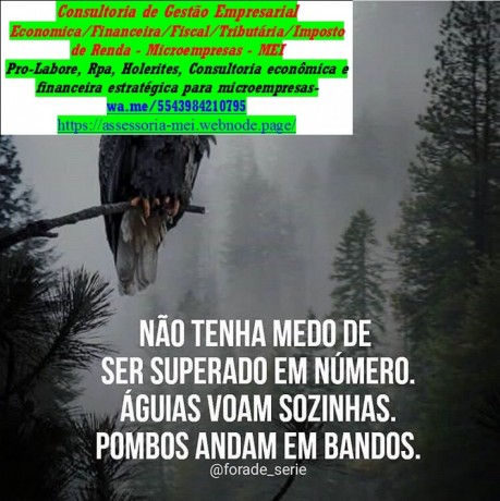 agro-assessoria-consultoria-contabilidade-financeira-servicos-big-0