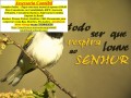 londrina-seguranca-particular-small-0