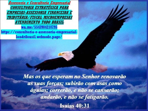 saulo-turrasao-paulo-consultoria-seguranca-financeira-big-0