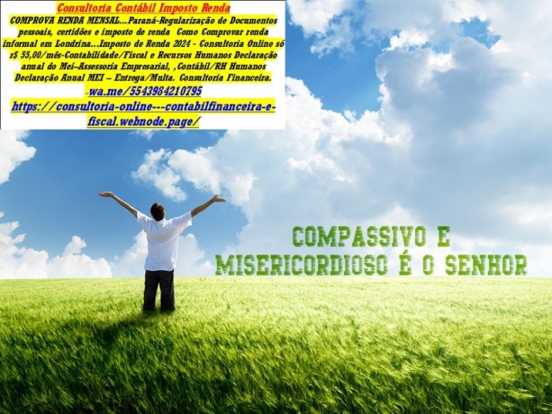 consultoria-online-so-r-5500mes-contabilidadefiscal-e-recursos-big-0