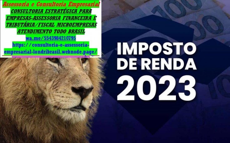 contador-imposto-de-renda-2024-declaracao-mei-big-0