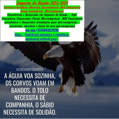 comprovante-de-renda-para-autonomo-e-profissional-liberal-quais-os-principais-big-0