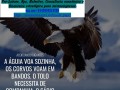 comprovante-de-renda-para-autonomos-pessoas-juridicasmei-quais-documentos-small-0