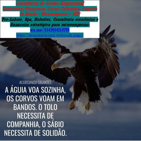 comprovante-de-renda-para-autonomos-pessoas-juridicasmei-quais-documentos-big-0