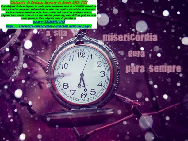 investigador-e-detetive-de-bens-pessoal-particular-big-1