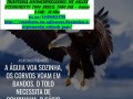 brasilia-consultoria-empresarial-mei-contabilidade-e-imposto-de-renda-small-0