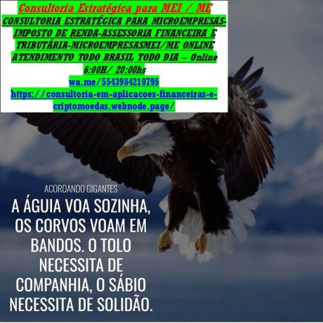 brasilia-consultoria-empresarial-mei-contabilidade-e-imposto-de-renda-big-0