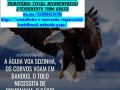 brasil-asaas-oficial-cadastre-como-pessoa-juridica-small-0