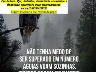 CONSULTORIA BRASIL-MPOSTO DE RENDA/LIVRO CAIXA/CARNE