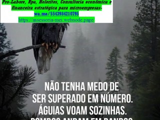 Assessoria MEI Escritório de  Contabilidade e Imposto de renda 2024