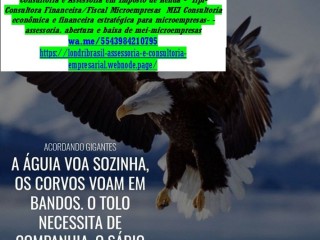 Goiás Consultoria Empresarial, Mei, Contabilidade Imposto  Renda