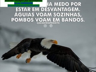 Brasilia Consultoria Empresarial, Mei, Contabilidade e Imposto