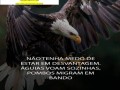 como-comprovar-de-renda-para-aquisicao-de-financiamento-de-casa-small-0