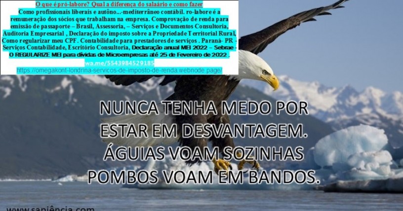 aprenda-a-colocar-sua-empresas-produtos-ou-servicos-na-17-pagina-do-google-big-0