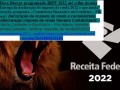 amazonas-imposto-de-renda-2023-declaracao-anual-mei-2023-small-0