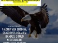 minas-gerais-vakinha-ajuda-mutua-entre-amigos-e-irmaos-small-0